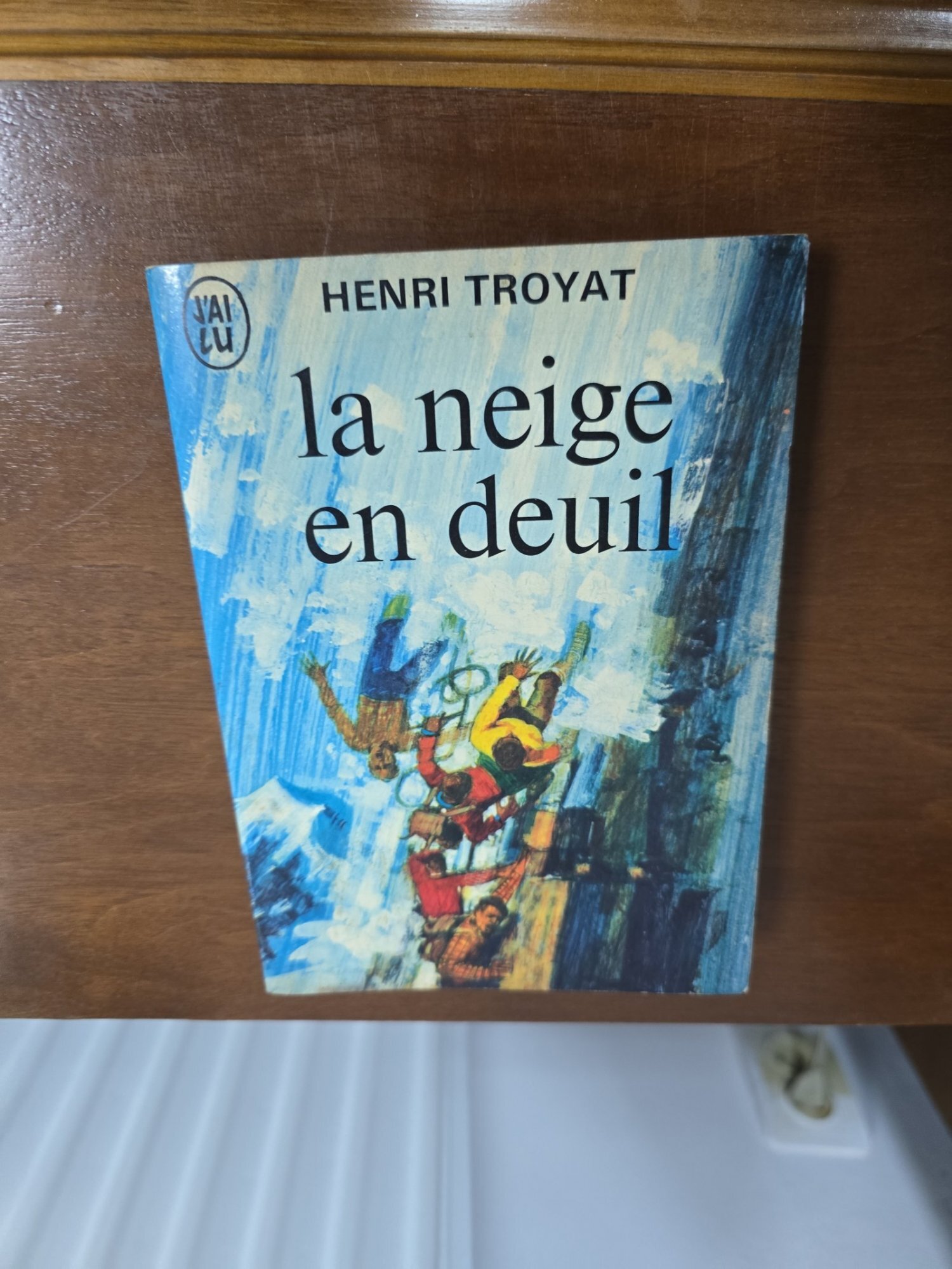 la neige en deuil - Henri Troyat
