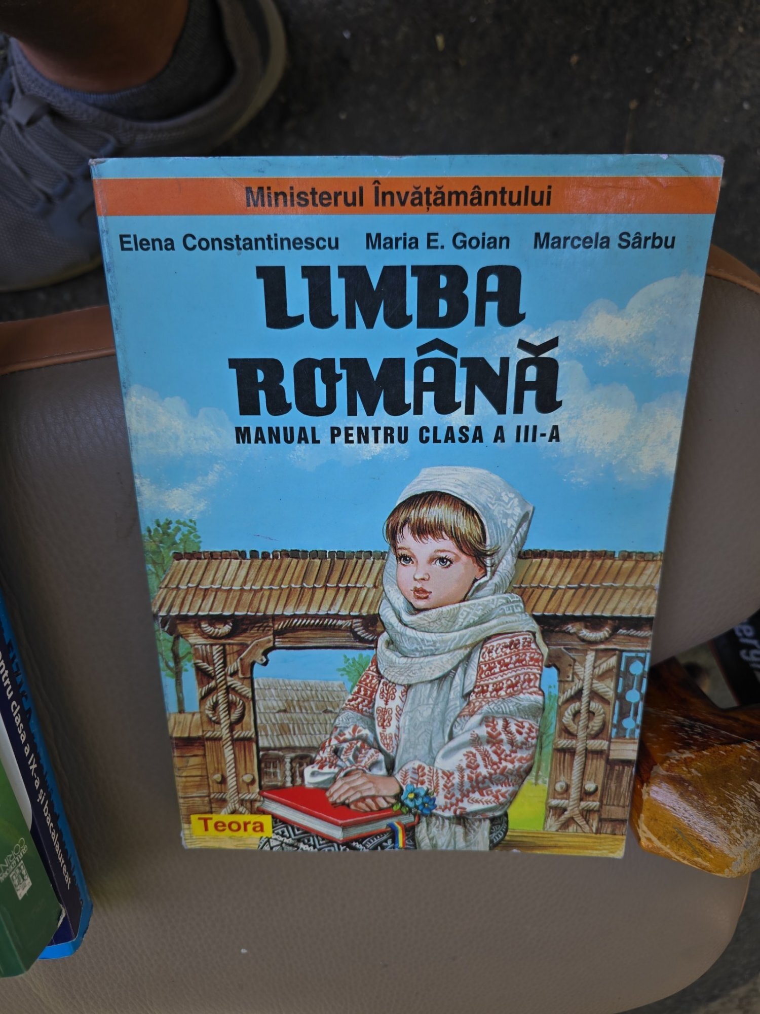 Limba română, manual pentru clasa a III-a - Elena Constantinescu, Maria E. Goian, Marcela Sârbu