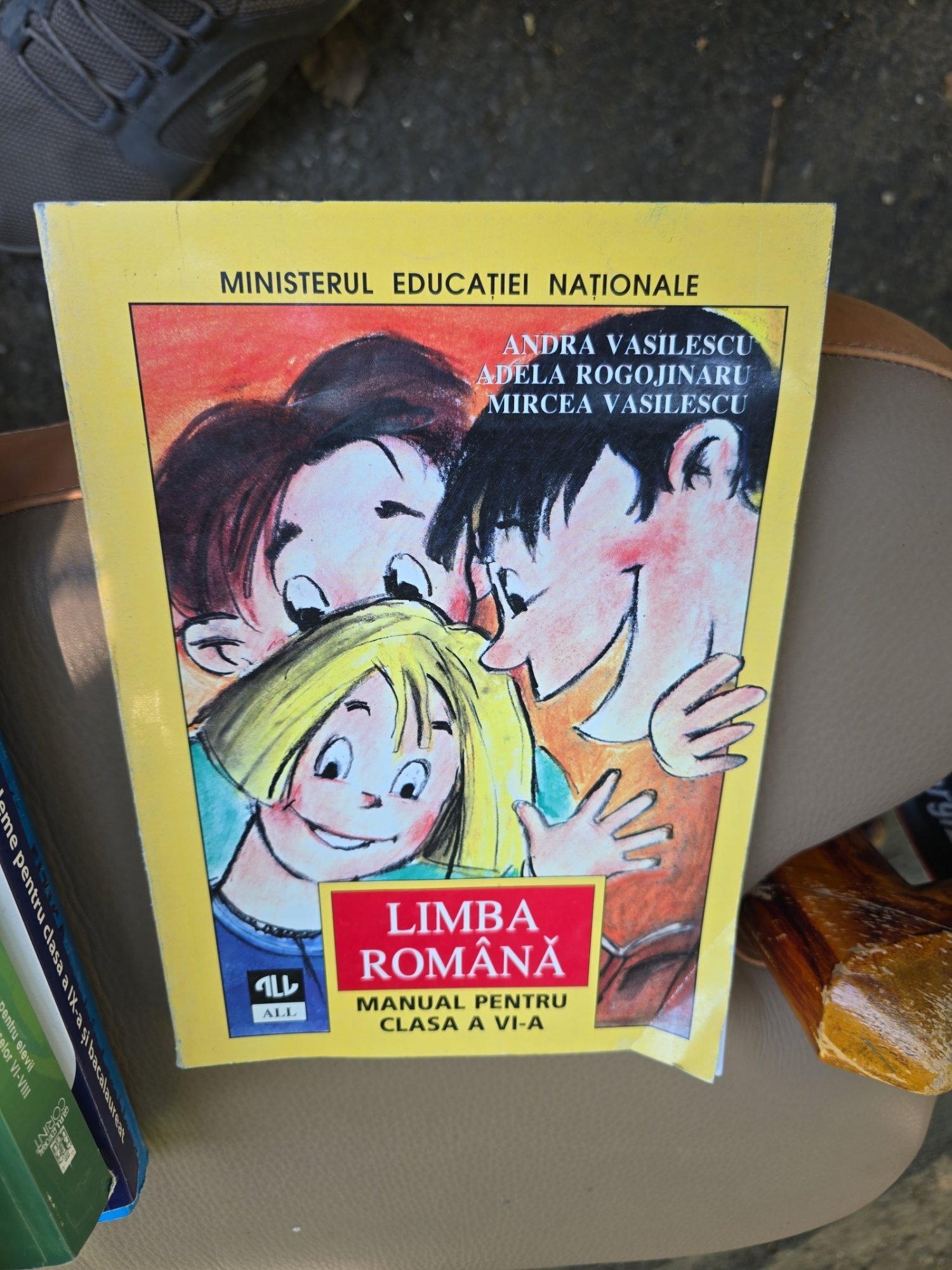 Limba Română. manual pentru clasa a VI-a - Andra Vasilescu, Adela Rogojinaru, Mircea Vasileescu