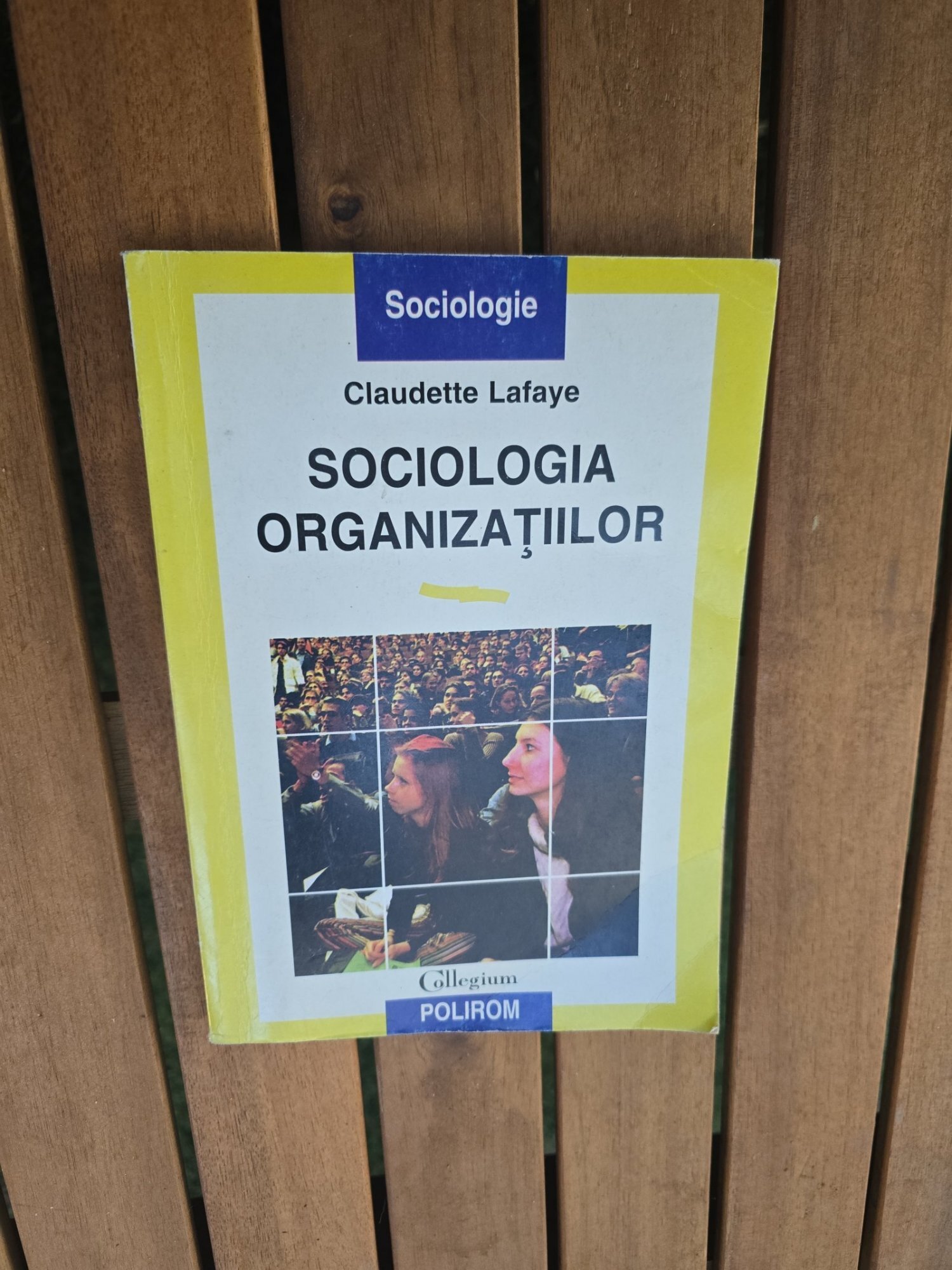 SOCIOLOGIA ORGANIZAȚIILOR - Claudette Lafaye