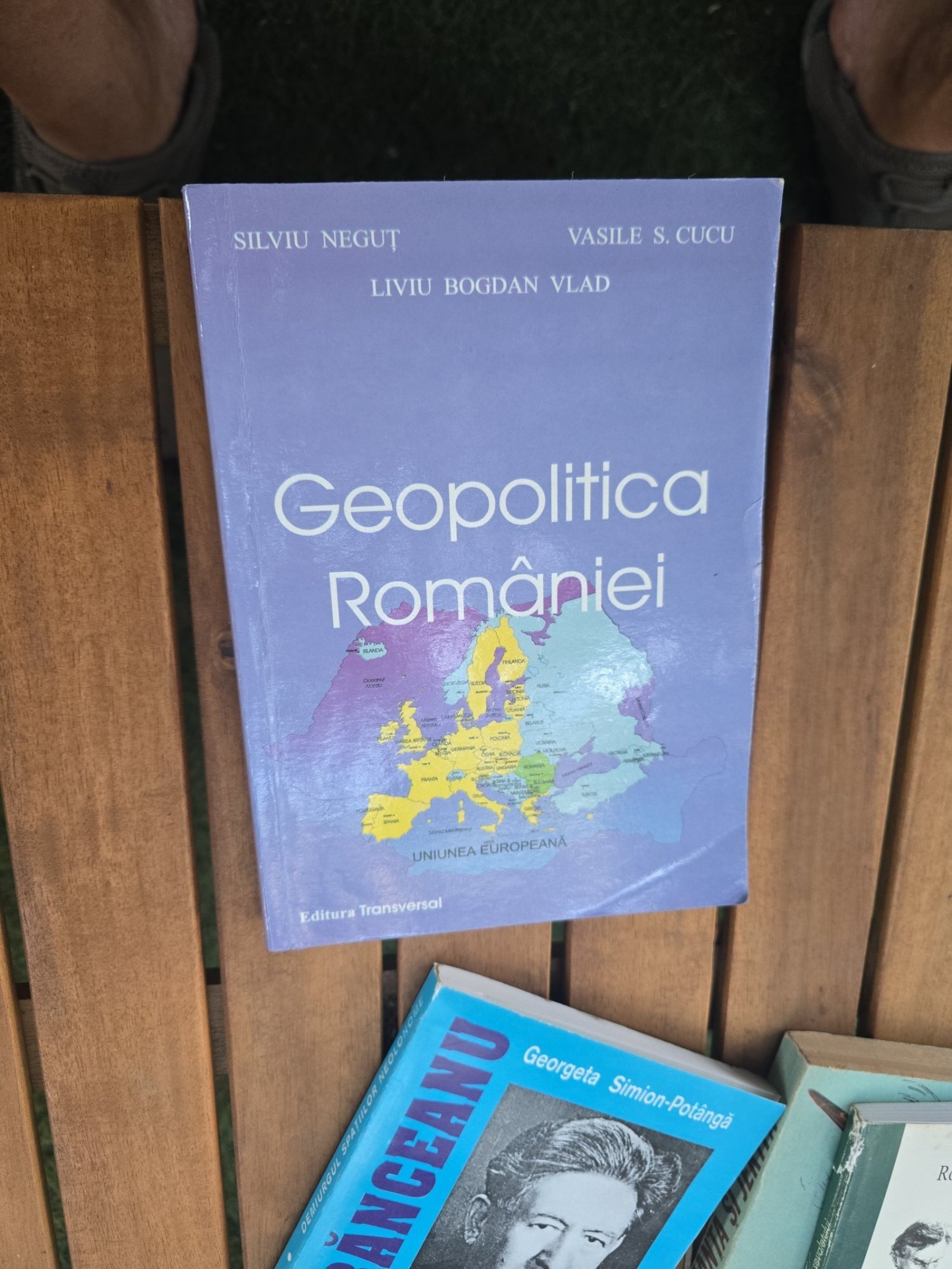 Geopolitica României - Silviu Neguț, Vasile S. Cucu, Liviu Bogdan Vlad