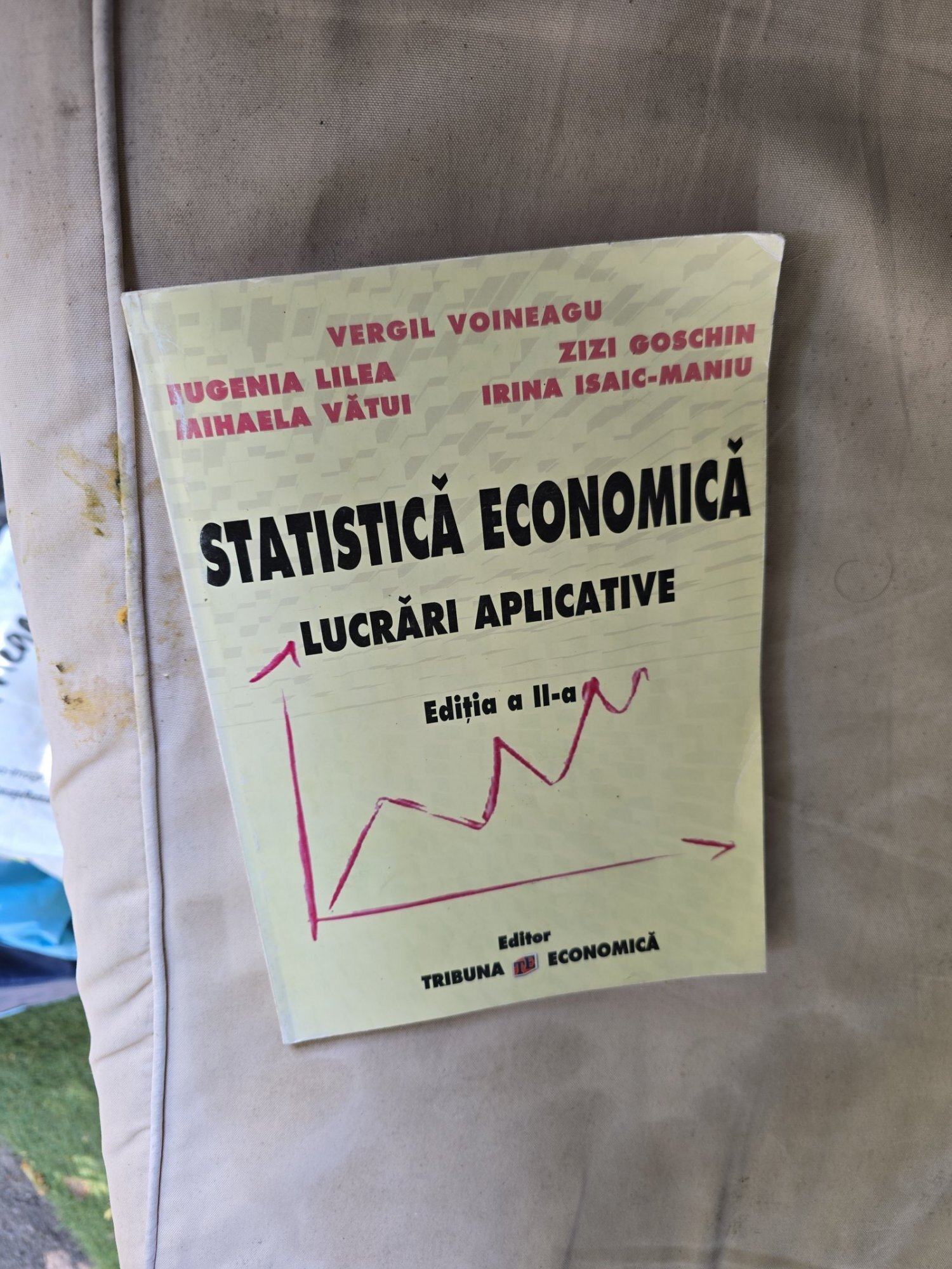 Statistică Economică: Lucrări Aplicative - Vergil Voineagu, Eugenia Lilea, Zizi Goschin, Mihaela Vătu i Irina Isăic-Maniu