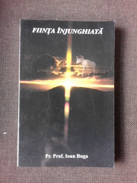 FIINTA INJUNGHIATA - IOAN BUGA