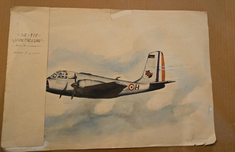 Acuarela Avion SE-117-VOLTIGEUR - Silviu Morariu