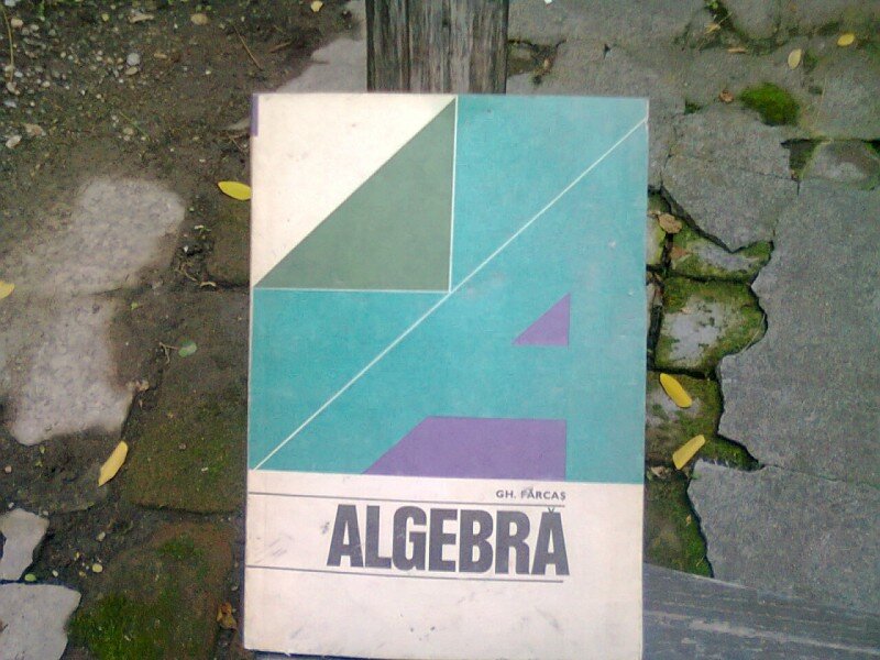 ALGEBRA - GH. FARCAS