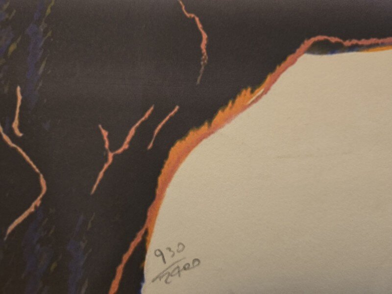 Andy Warhol - Endangered species (Canadian muflon), litografie originala