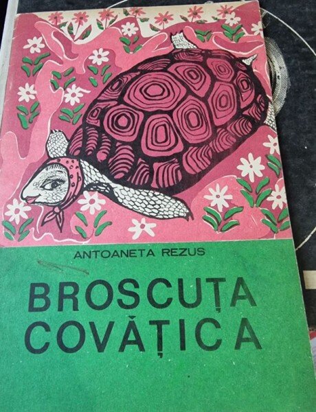 Antoaneta Rezus - Broscuta Covatica