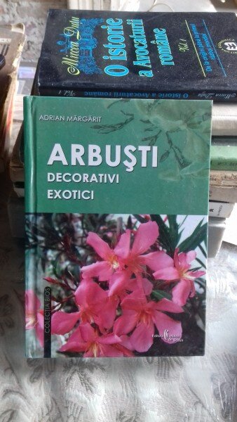 ARBUSTI DECORATIVI EXOTICI  - ADRIAN MARGARIT