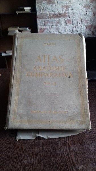 ATLAS DE ANATOMIE COMPARATIVA - VASILE GHETIE   VOL.2