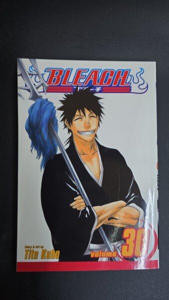 Bleach, Vol. 30 - Tite Kubo
