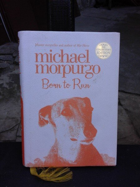 BORN TO RUN - MICHAEL MORPURGO  (CARTE PENTRU COPII, IN LIMBA ENGLEZA)