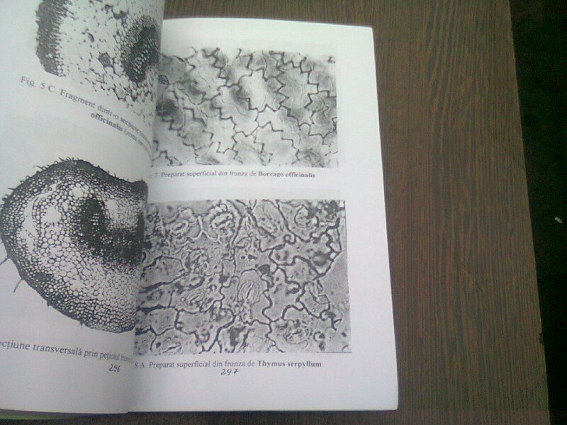 BOTANICA FARMACEUTICA - MADELENA PALADE VOL.1 LUCRARI PRACTICE