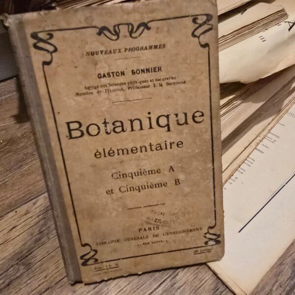 Botanique elementaire - Gaston Bonnier