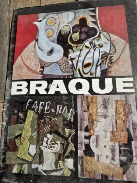 Braque  album arta - Irina Fortunescu