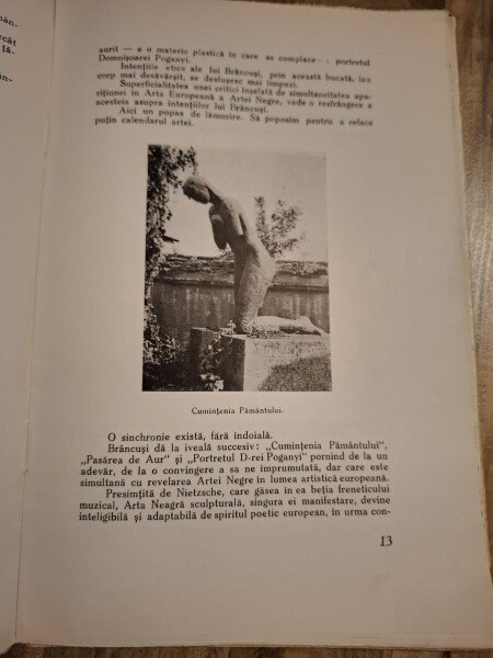 C. Brâncuși - V. G. Paleolog