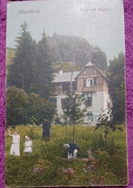 Carte Postala, Baia Mare, Sanatoriul Wagner, 1927