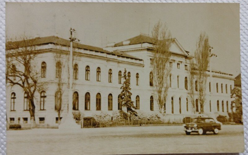 Carte postala, Bucuresti Muzeul de Istorie Naturala Gr. Antipa, 1966