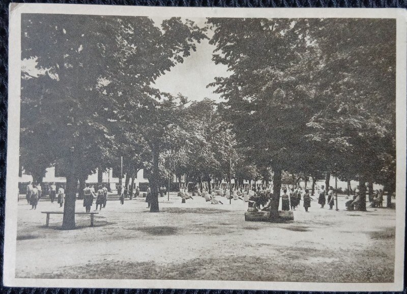 Carte Postala, Bucuresti, Scoala Centrala de Fete, Ora de educatie fizica in gradina mare, perioada interbelica