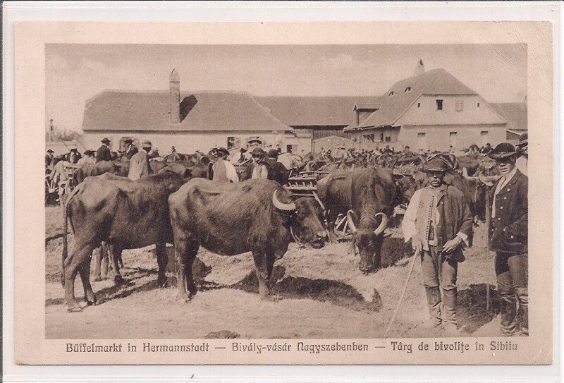 Carte postala circulata in anul 1916 Sibiu