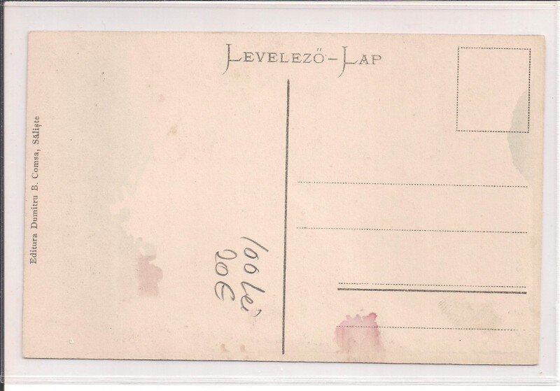 Carte postala necirculata din jurul anului 1900 Saliste