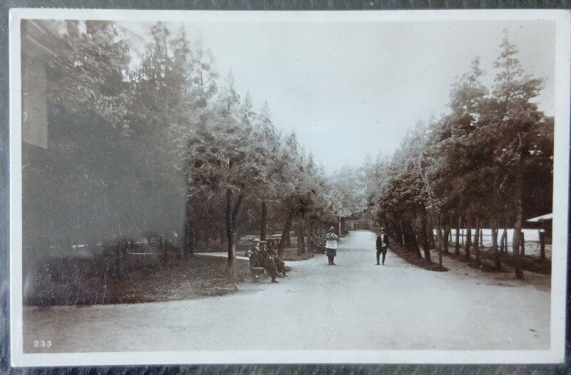 Carte postala, Sfantul Gheorghe, Parcul, 1930