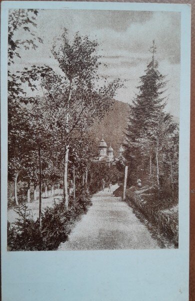 Carte postala, Sinaia, vedere din parc, perioada intebelica
