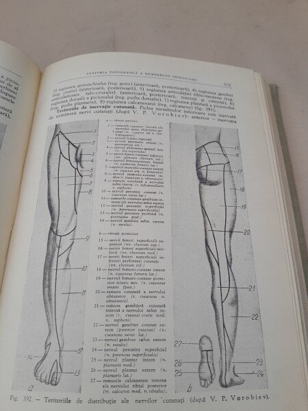 Chirurgia operatorie si anatomia topografica - V. N. Sevcunenco si A. N. Maximencov