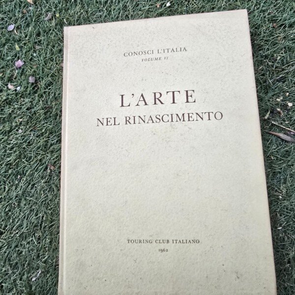 Conosci lItalia vol. VI, Larte, Nel Rinascimento