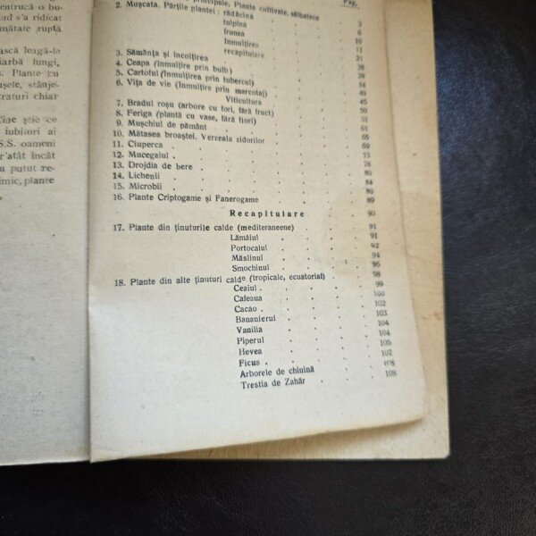 Coralia Vernescu Botanica pentru clasa a II-a gimnaziului unic (1947)