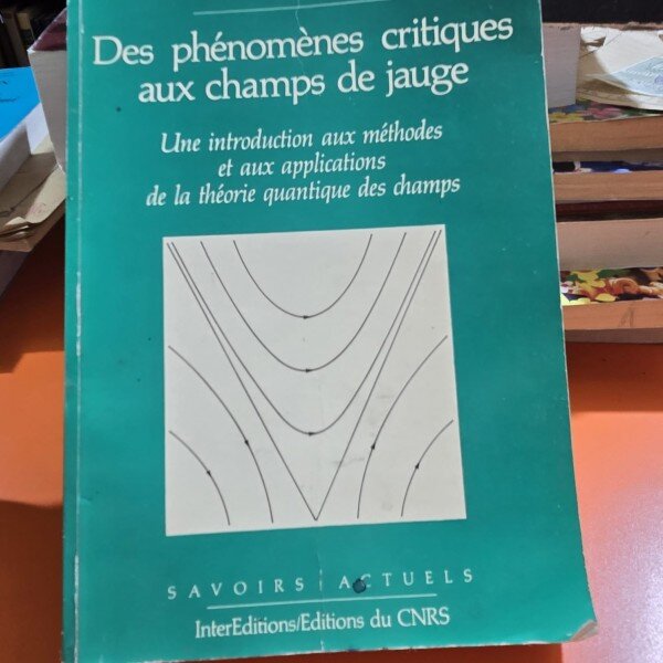 Des phenomenes critiques aux champs de jauge, Une introductiom aux methodes Eet aux applications de la theorie quantique des champs
