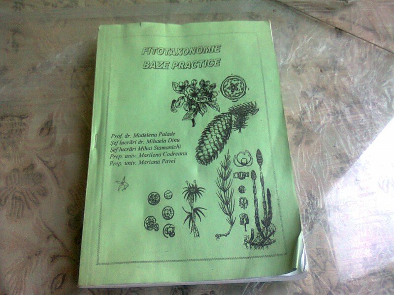 FITOTAXONOMIE. BAZE PRACTICE - MADELENA PALADE