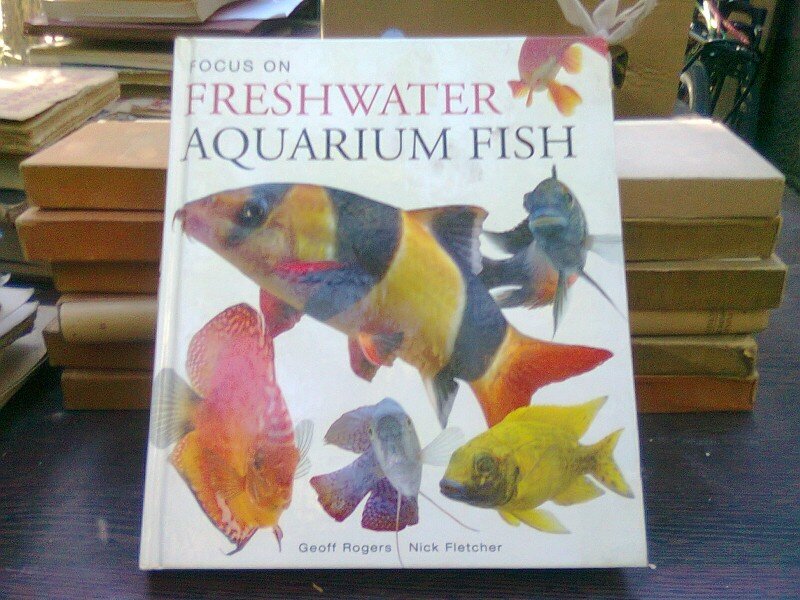 Focus on freshwater aquarium fish - Geoff Rogers  (Concentrați-vă pe peștii acvatici din apă dulce)