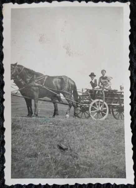 Fotografie, Barbat si femeie, cu caruta pe camp, perioada interbelica