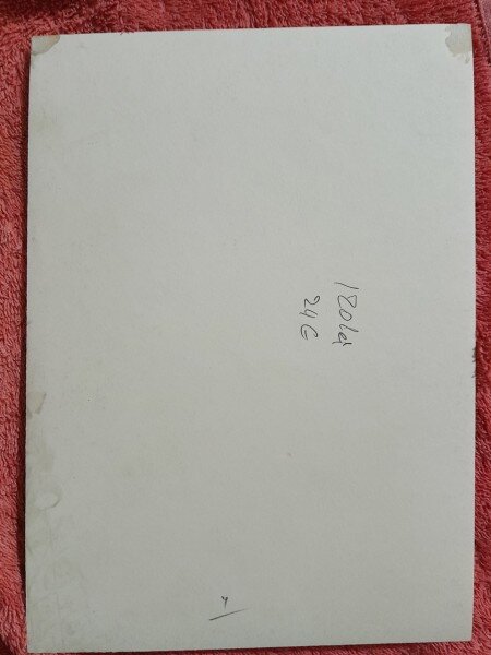 Fotografie, biserica, intrarea in altar, secolul XIX
