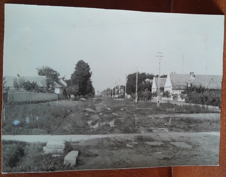 Fotografie, Dudestii Vechi, anii 50