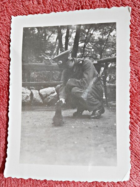 Fotografie, ofiter cu pisica, perioada interbelica
