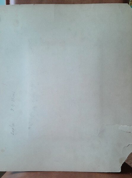 Fotografie pe carton, grup de femei si barbati din inalta societate, inceput de secol XX