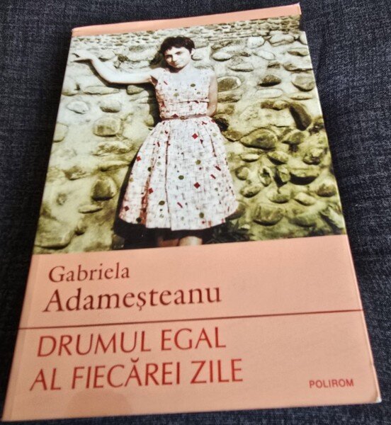 Gabriela Adamesteanu - Drumul egal al fiecarei zile