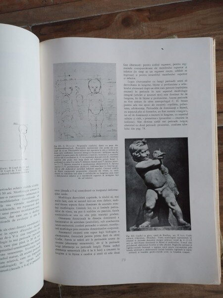 Gheorghe Ghitescu - Constructia Corpului; Formele Corpului in Repaus si Miscare; Morfologia Artistica Expresia ( 3 volume)