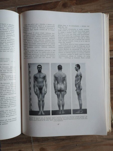 Gheorghe Ghitescu - Constructia Corpului; Formele Corpului in Repaus si Miscare; Morfologia Artistica Expresia ( 3 volume)