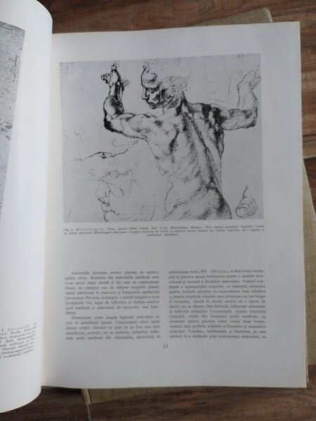 Gheorghe Ghitescu - Constructia Corpului; Formele Corpului in Repaus si Miscare; Morfologia Artistica Expresia ( 3 volume)