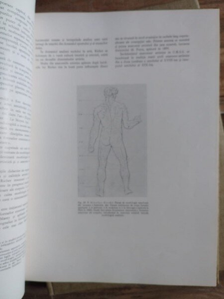 Gheorghe Ghitescu - Constructia Corpului; Formele Corpului in Repaus si Miscare; Morfologia Artistica Expresia ( 3 volume)