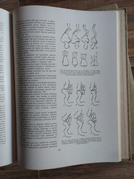 Gheorghe Ghitescu - Constructia Corpului; Formele Corpului in Repaus si Miscare; Morfologia Artistica Expresia ( 3 volume)
