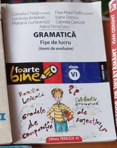 Gramatica. Fise de Lucru pentru clasa a VI-a