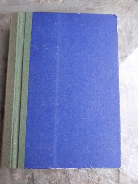 HISTOIRE DE L'ART, L'ART MEDIEVAL - ELIE FAURE  (CARTE IN LIMBA FRANCEZA)