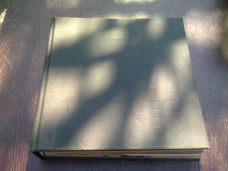 HORSES  CUBE BOOK  (CARTE ILUSTRATA, TEXT IN LIMBA ENGLEZA)