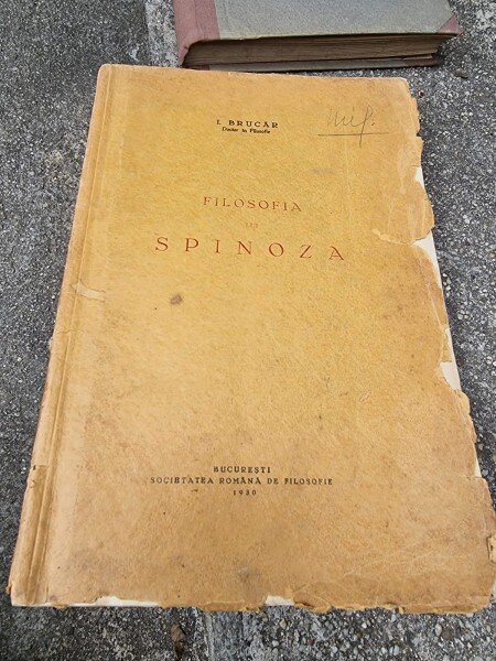 I. Brucar - Filosofia lui Spinoza