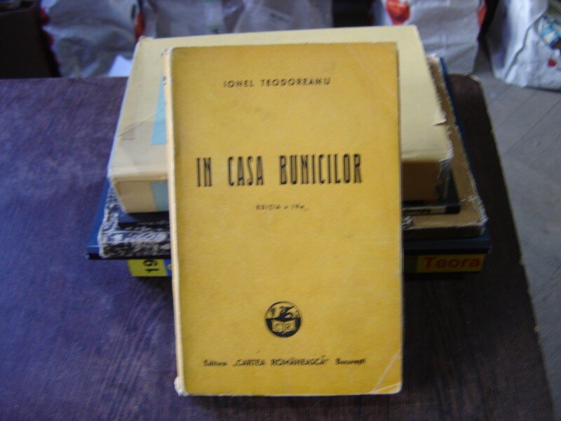 IN CASA BUNICILOR - IONEL TEODOREANU