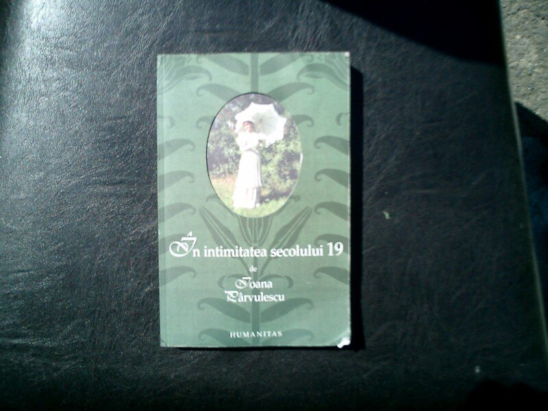 In intimitatea secolului 19 - Ioana Parvulescu
