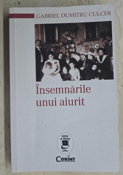 Insemnarile unui aiurit - Gabriel Dumitru Culcer